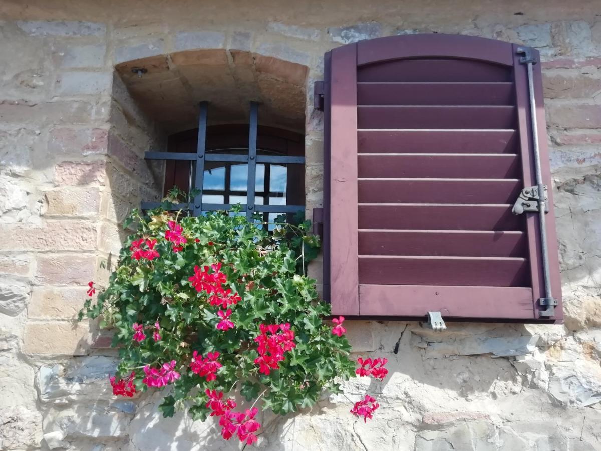 Poggio Massiccioli Apartment Poggibonsi Bagian luar foto